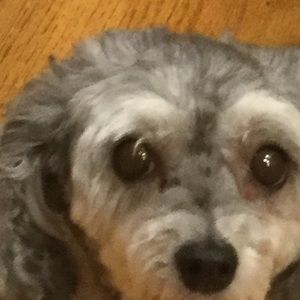 Meet your Posher, Jim